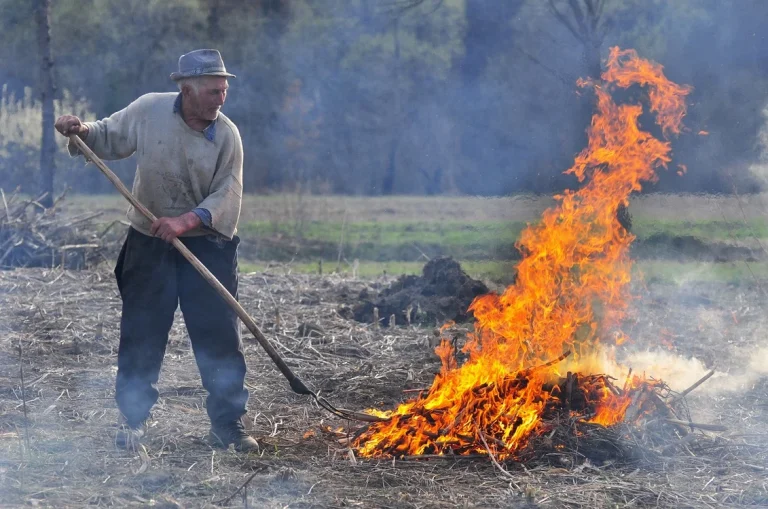 Legislația care vine în contradicție cu „legile din bătrâni“: tradiția arderii vegetației uscate